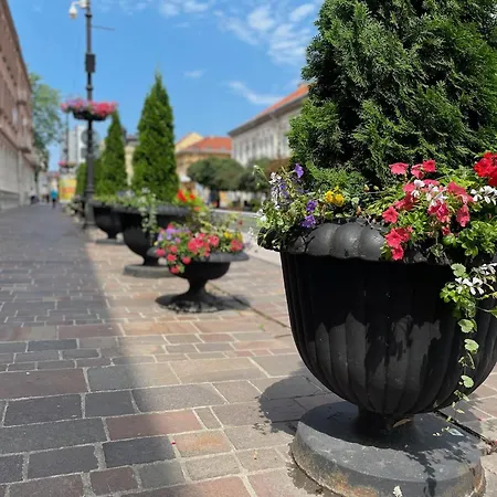 With Cathedral View Apartment *