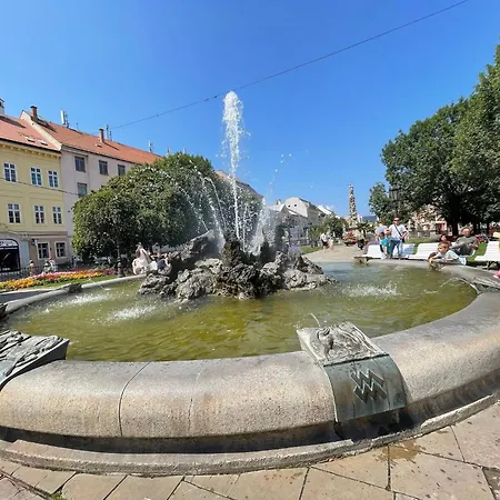 With Cathedral View Apartment Kosice